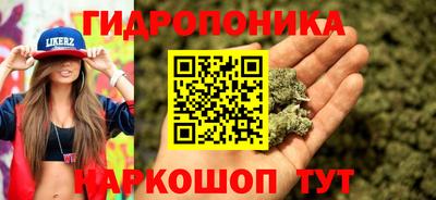 герыч Гатчина