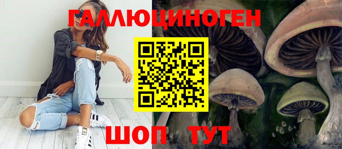 Галлюциногенные грибы Magic Shrooms Москва