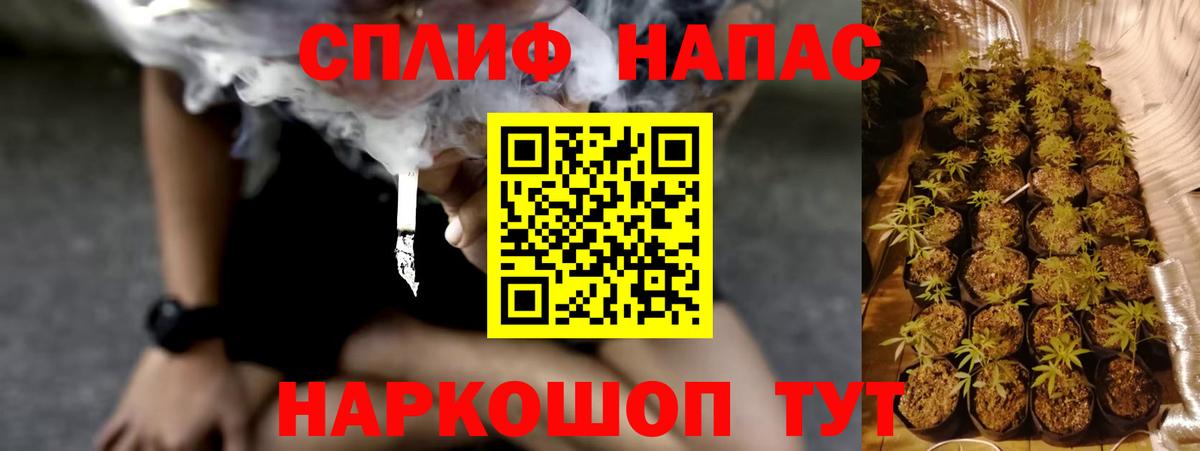 Бошки марихуана SATIVA & INDICA Москва